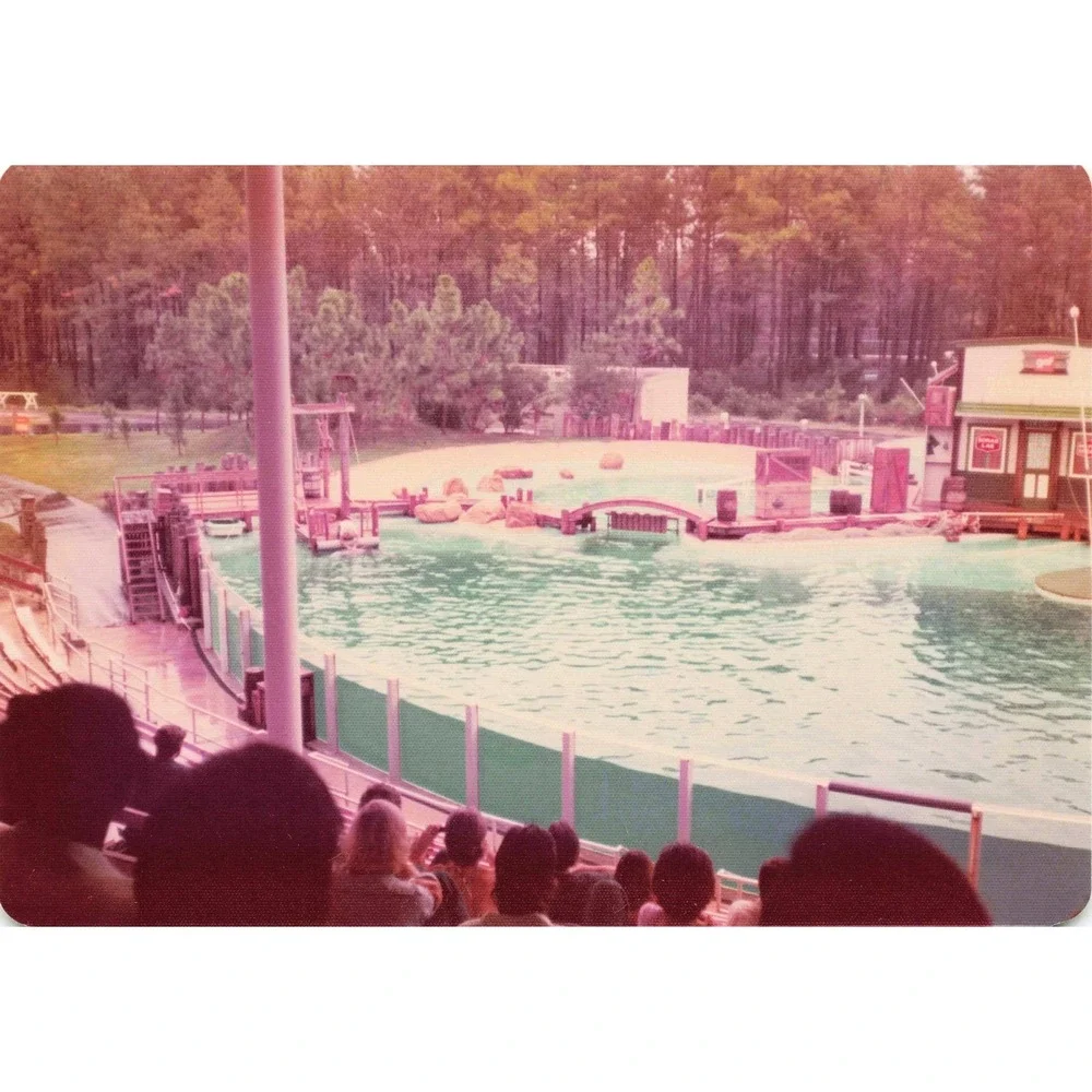Vintage 1970s Six Flags Great Adventure Orca Water-Ski Show Photo Lot of 11 - Picture 11 of 11